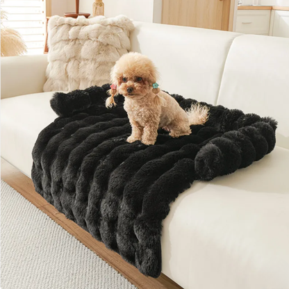 The Fleece Pet Lounge